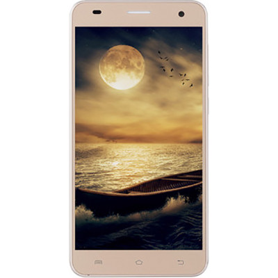 Nomi i504 Gold