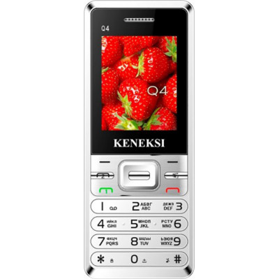 Keneksi Q4 silver