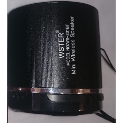 Колонки WS-231 Black